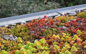 the cost of Trevalyn green roof installation