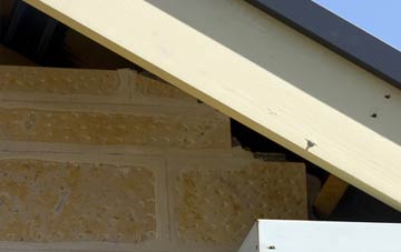 soffit repair Trevalyn